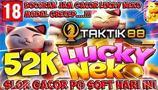 Pola Slot Pg Soft Lucky Neko Hari Ini Terbaru